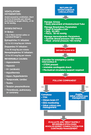 Image result for Ventricular Fibrillation Management in the Adult