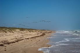 When 20,000 beach goers are crowded onto it on a holiday weekend, yes the result is a lot of garbage being left despoiling nature. The 12 Best Beaches In Texas In 2021 Detailed Guide