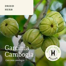 Image result for Garcinia buchneri