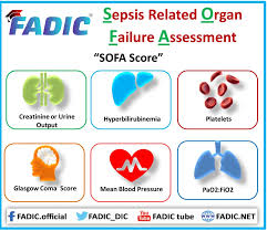 Image result for pSOFA Score