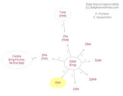 A graphical representation of the words that rhyme with zyla. Zyla Meaning Of Zyla What Does Zyla Mean