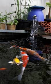 Jernih Dengan Filter Kolam Sederhana Ujungaspal Com