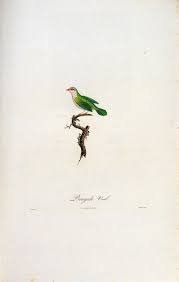 JF Ptak Science Books: Absurdist, Unintentional