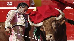 Image result for ivan fandiño