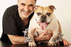 Noel fitzpatrick is a veterinary surgeon who is now a recognisable face to animal lovers everywhere. Q A With Noel Fitzpatrick Times Higher Education The