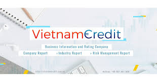 After Joining The Cptpp What Are The Opportunities And Challenges Of The Banking Industry In Vietnam Part Ii In 2020 Banking Industry Beer Industry Stock Market