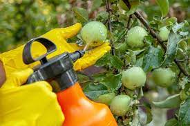 When To Spray Apple Trees Minnetonka Orchards