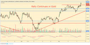 Forex Update Gold Hits 5 Month High As Euro Gains Ground