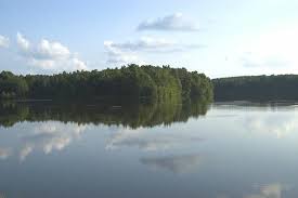 Maybe you would like to learn more about one of these? Serenity Bay At W Kerr Scott Lake Reservoir Wilkesboro North Carolina Nc Lakefront Real Estate Information