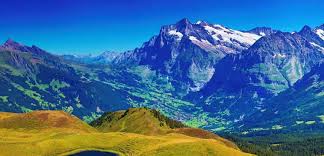 Although your credit card company will take care of all of the rates, be aware. Flower Delivery To Switzerland Euroflorist International Service