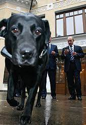 ★ fan page for vladimir putin ★. Konni Dog Wikipedia
