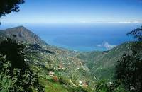 Resultado de imagen para VIRGINIA SANCHEZ GRUBER LA BARISTA DE GALIPAN