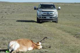 More than 39 million used cars were sold in 2020 compared with 14.2 million new vehicle registrations during the same period, according to experian. The Best Used Trucks For Hunting And How To Buy Them Outdoor Life