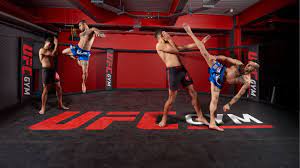 Get in touch to join a gym or open a franchise today. Best Gyms In The World Ufc Gym