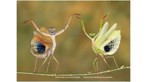 Maybe you would like to learn more about one of these? The Small Little Tiny Things In Life Luz Adames Just For Today Blog