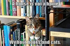 A House Is Not A Home Without Books And Cats Cats Bookstore Cats Cat Books