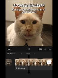 Cat Singing Tutorial: Use Capcut for Fun Lip Sync