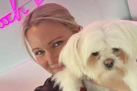 New Cornwall dog grooming parlour opens with a 'no restraints' ethos