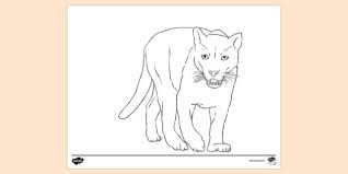 Click from zoo coloring pictures below for the printable zoo coloring page. Free Realistic Zoo Animal Colouring Colouring Sheets