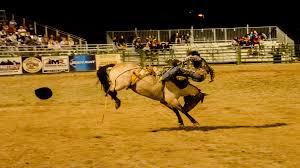 For those in need of a warm breakfast or something casual to eat while on the run, the town has a number of small delis, cafes and bagel shops. Pro Photography Tips For Jackson Hole Wyoming