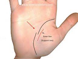 Broken Life Line Meaning In Palm Reading Palm Reading Life Line On Hand Palm Reading Meaning