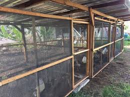 Check spelling or type a new query. Reban Ayam Kampung Cantik