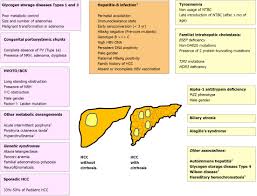 Pediatric Hepatocellular Carcinoma