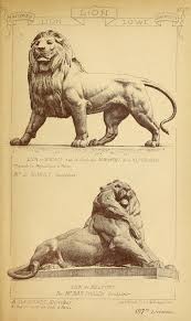 Pin De Rick Fulmer En Lions Inspiration Escultura De Leon Bocetos Arquitectonicos Dibujo De Animales