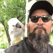 Where to find a male turkey for mating with a 2-year-old female turkey?