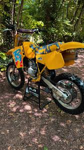 Image result for Yellow 1992 Fleet