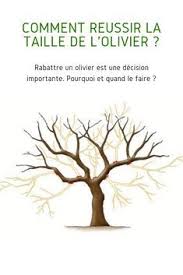 Epingle Sur Taille Olivier