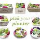 Plant Nite: Make a Succulent Terrarium event in Salt Lake City, UT