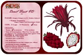 Pin On Devil Fruit