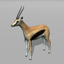 Thomson Gazelle 3d Model Thomson Gazelle 3d Model Gazelle