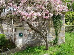 See more ideas about aesthetic wallpapers, wallpaper, aesthetic. Cottagecore Aesthetic Wallpapers Wallpaper Cave
