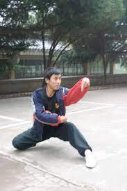 It was created by wang lang (王朗) and was named after the praying mantis, an insect, the aggressiveness of which inspired the style. Praying Mantis Kungfu