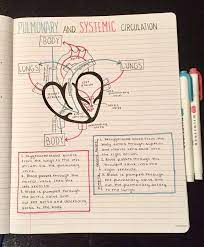 Pin By Indar Wira On Nurse Medical Student Study Nursing School Studying Nursing School Notes