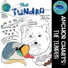 science scaffolded notes anchor chart the tundra biome