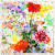 Frank Webb Artist