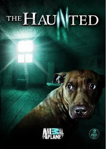 A Haunting (TV Series 2005–2022) - IMDb