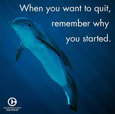 Pin On Quotes