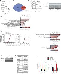 Für bestimmte produkte ist ein treiber erforderlich, um die verbindung zwischen ihrem produkt und. M Sup 6 Sup A Mrna Methylation Regulates Cardiac Gene Expression And Cellular Growth Abstract Europe Pmc