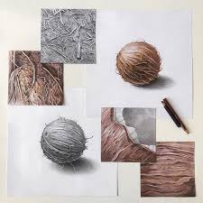 Touch device users, explore by touch or with swipe gestures. Im In Love With The Coco Coconut Textures Drawing Sketching Coco Coconut Asp Aspgda Pencildrawing Pencil Texture Sketch Watercolor Fruit Drawings