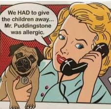 georgette is here agaain, rorr 🦇