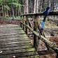 Hike: Naftel’s Creek Conservation Area event image