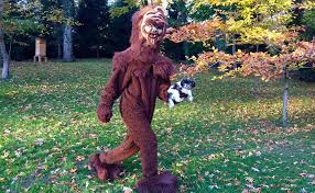 All of our games are temporarily disabled due to a critical data failure on roblox's side. Big Foot Was Spotted In Tom Brady S Backyard Boston Com