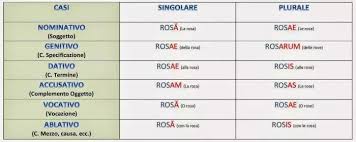 Affrontare Con Successo I Corsi Di Latino Superprof