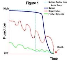 Breast cancer is caused by long term festering bitterness, resentment and strife between the woman with the disease and another female. Illness Trajectories Description And Clinical Use Palliative Care Network Of Wisconsin