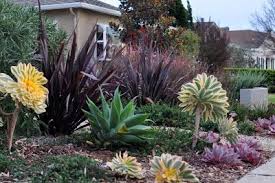 Mar Vista Green Garden Showcase Landscape Design Mar Vista Green Garden