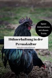 Huhnerhaltung In Der Permakultur Permakultur Selbstversorger Garten Huhner Im Garten